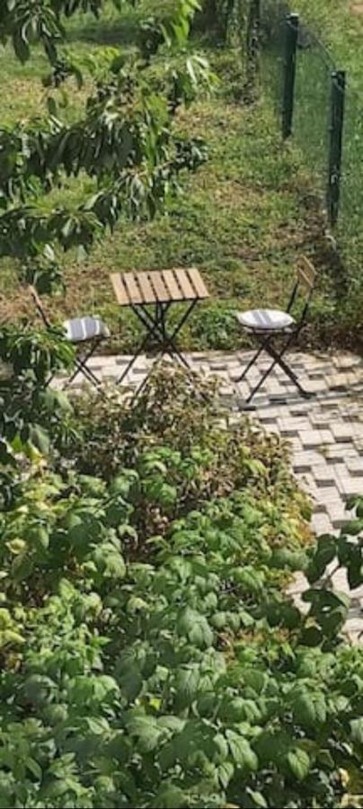 Lovely Appartment With Private Patio And Private Entrance In Luxembourg 60M2 Saeul Екстер'єр фото